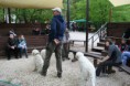 /album/budakeszi-vadaspark-a-fold-vilagnapja-alkalmabol-torteno-meghivasa-a-nagyragadozok-es-pasztorkutyak-forumnak-2014-aprilis-fotok-izabella-tandecki-/img-084-jpg/